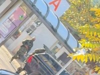 Upucano lice na Merdaru?!