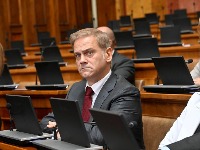 Stefanović: Skandalozno ponašanje poslanika vlasti prema nemačkim poslanicima
