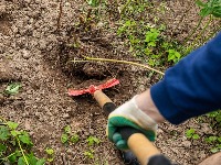 Kopao je svoju baštu, pa pronašao nešto JEZIVO: Odmah je pozvao policiju - ali i dalje je MISTERIJA šta je to 