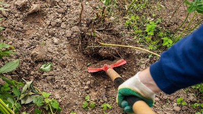 Kopao je svoju baštu, pa pronašao nešto JEZIVO: Odmah je pozvao policiju - ali i dalje je MISTERIJA šta je to 