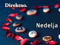 Lavovi emotivni, Vage na pragu važnih dogovora