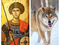 Sutra je Đurđic i kreću „vučiji dani": Po narodnom verovanju to je NAJOPASNIJI PERIOD u godini i evo kakva će nam BITI ZIMA