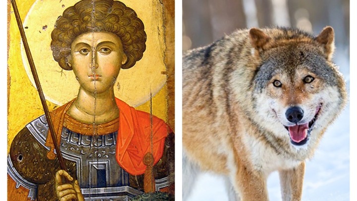 Sutra je Đurđic i kreću „vučiji dani": Po narodnom verovanju to je NAJOPASNIJI PERIOD u godini i evo kakva će nam BITI ZIMA