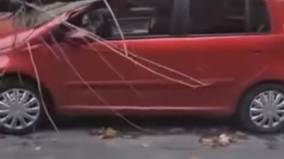 Drama na Paliluli: Drvo uništilo automobil (VIDEO)