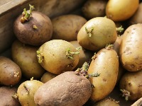 Najjeftiniji ručak na svetu: Trebaju vam 3 krompira, jedna glavica luka i 15 minuta