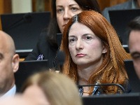 Đorđević (ZLF): DUNP se mora očuvati i razvijati