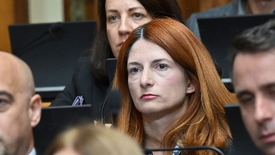 Đorđević (ZLF): DUNP se mora očuvati i razvijati