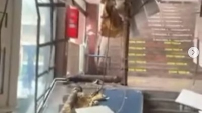 Užas u hali Pinki: "Pao plafon sa cevima koje su teške tonu" (VIDEO)