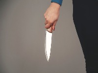 Krvavi pir u Obrenovcu: Žena izbola muža (29)