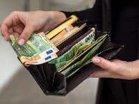 Stavite LOVOROV LIST OVDE i imaćete BRDO PARA 