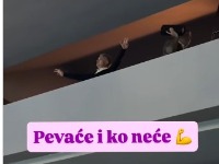 Srđan Đoković burno slavio Noletovu titulu: Pevao čuveni hit (VIDEO)