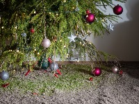 Novogodišnja jelka je pravi magnet za PARE: Postavite je ovde i gledajte kako novac stiže