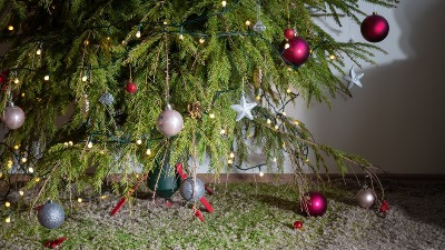 Novogodišnja jelka je pravi magnet za PARE: Postavite je ovde i gledajte kako novac stiže