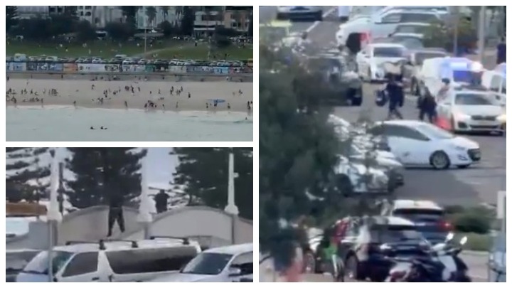 MASAKR NA ČUVENOJ PLAŽI Ubijeno desetoro ljudi, stravični snimci sa lica mesta (VIDEO)