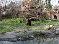 Direktorka negira da su životinje zanemarivane, SSP najavljuje prijave: Šta se dešava u Zoo vrtu "Palić"?