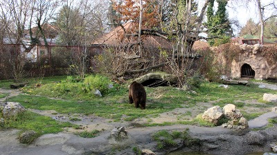 Direktorka negira da su životinje zanemarivane, SSP najavljuje prijave: Šta se dešava u Zoo vrtu "Palić"?