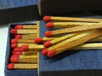 Genijalan trik sa šibicama spasiće vašu BILJKU koja VENE 