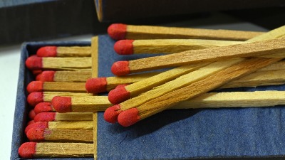 Genijalan trik sa šibicama spasiće vašu BILJKU koja VENE 