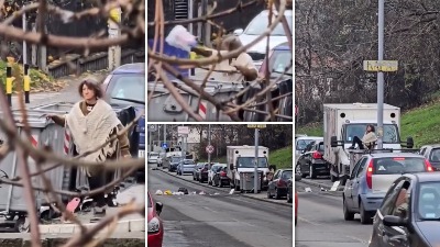 BIZARNA scena u Učiteljskom naselju: Žena uskakala u kontejnere i izabacivala smeće (VIDEO)