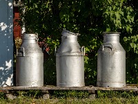 Očajnički potez: Mleko će deliti građanima, ostatak prosuti pred vlastima