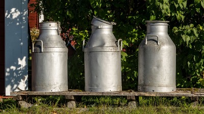 Silosi puni mleka u prahu, farmeri na ivici: Gde su završile subvencije?