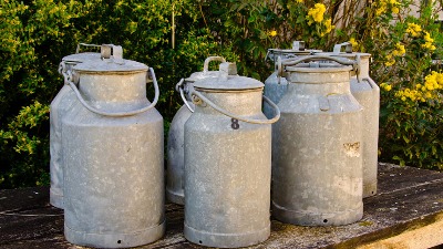 MLEKARI UPOZORAVAJU: Ako država ne spreči uvoz jeftinog mleka, đubrivom ćemo zasuti trgovce