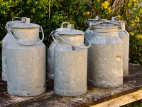 Ministarstvo poljoprivrede Srbije: Pratićemo stanje na tržištu mleka i prilagođavati mere