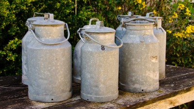 Ministarstvo poljoprivrede Srbije: Pratićemo stanje na tržištu mleka i prilagođavati mere