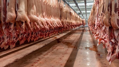 DOSIJE TRIHINELA: Ljudi jeli zaraženo meso, veterinar "utvrdio" da je zdravo, haos u Pančevu