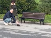 Snimak sa Kališa je nešto NAJSLAĐE što ćete videti: Dok su ljudi šetali, oko njih je skakutala RAZIGRANA I PITOMA VEVERICA (VIDEO)