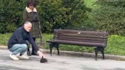Snimak sa Kališa je nešto NAJSLAĐE što ćete videti: Dok su ljudi šetali, oko njih je skakutala RAZIGRANA I PITOMA VEVERICA (VIDEO)