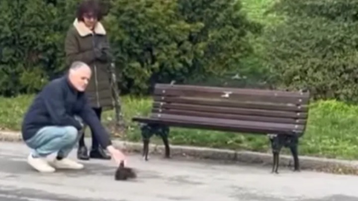 Snimak sa Kališa je nešto NAJSLAĐE što ćete videti: Dok su ljudi šetali, oko njih je skakutala RAZIGRANA I PITOMA VEVERICA (VIDEO)