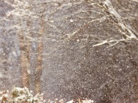 RHMZ izdao upozorenje: Posle sipeće kiše dolazi SNEG