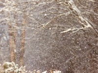 Oglasio se RHMZ: Evo gde će noćas padati SNEG