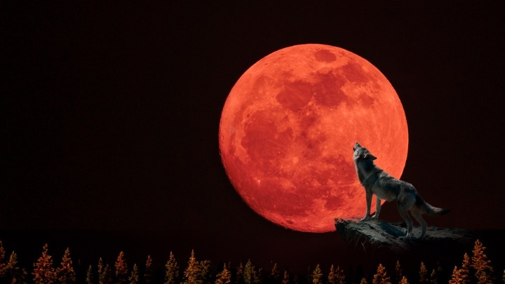 Stiže nam VUČJI MESEC: Evo šta prvi PUN MESEC u 2026. donosi svim znacima 