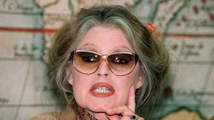 "Volela bih da sam RODILA MALOG PSA, a ne ČOVEKA": Izjava zbog koje sin Brižit Bardo nije majku pozvao na venčanje 