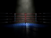 HAOS Masovna tuča na boks meču u Novom Pazaru (VIDEO)