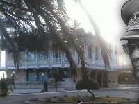 MOŽE KOKAIN, ALI I... Kavački klan u lovu na Titovo blago