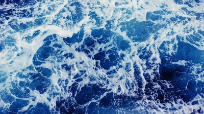 Snimak ČUDOVIŠTA iz mora zaprepastio ljude na mrežama: "Čovek se zapita šta još tamo dole postoji" 