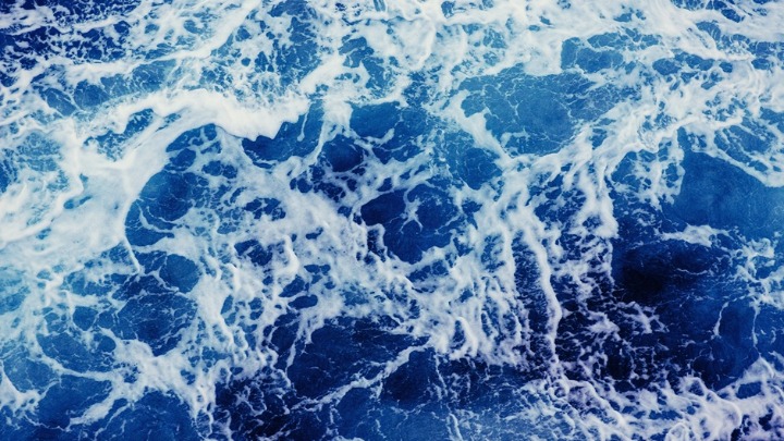 Snimak ČUDOVIŠTA iz mora zaprepastio ljude na mrežama: "Čovek se zapita šta još tamo dole postoji" 