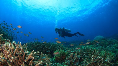 DRAMATIČNO UPOZORENJE naučnika: Postoji pretnja od masovnog izumiranja - najgore će proći ova stvorenja