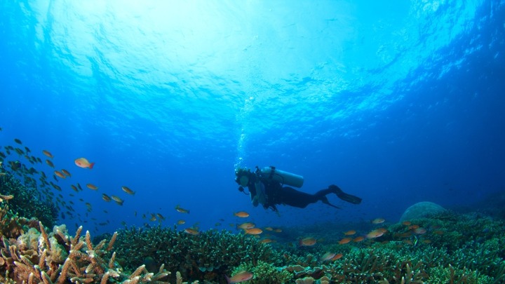 DRAMATIČNO UPOZORENJE naučnika: Postoji pretnja od masovnog izumiranja - najgore će proći ova stvorenja