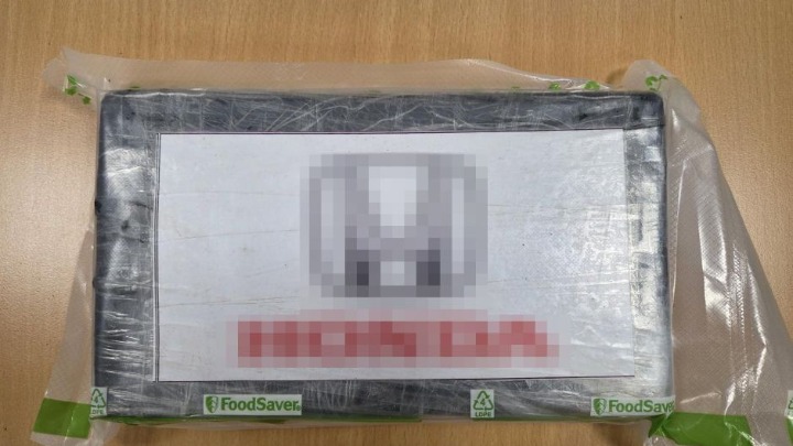 Pao u velikoj akciji policije: Vlasnik firme vođa krimi grupe