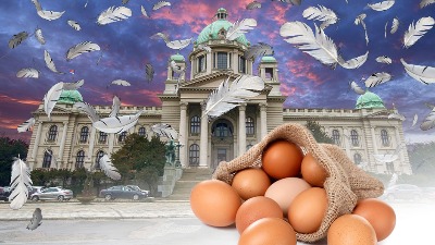 Da li pristalice SNS BRANE Vučića DOMAĆIM jajima?