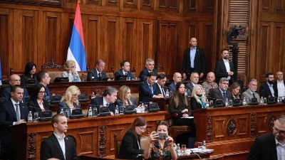 Opozicija: "Vidi se da je policajca povredio kolega", SNS: "Laži, to su bili anarhisti"