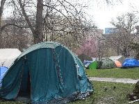 Za JKP "Beogradski park" 214 miliona: Čemu li služi?