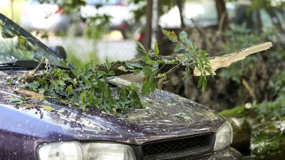 Izbili požari, obarana stabla: Nevreme napravilo HAOS u Zagrebu