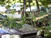 STIŽU OLUJNI UDARI Jak vetar u OVIM delovima Srbije