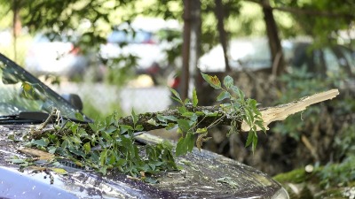 STIŽU OLUJNI UDARI Jak vetar u OVIM delovima Srbije