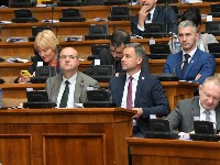 Novaković: Naziru se konture buduće proevropske koalicije